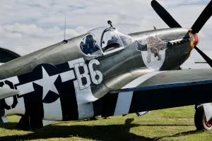 Striped Mustang aircraft displayed at an airshow
